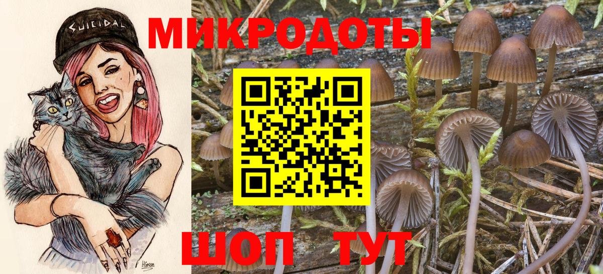 Псилоцибиновые грибы GOLDEN TEACHER  Псилоцибиновые грибы Cubensis  Вход с VPN  Канск 