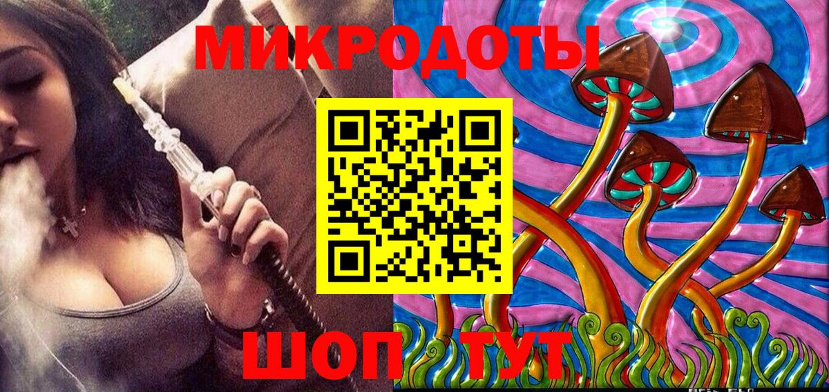 Псилоцибиновые грибы Psilocybine cubensis Канск